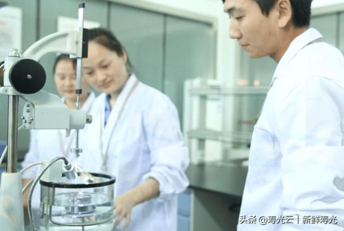 宏源防水 創新賦能，譜寫綠色建筑新篇章